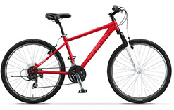 bridgestone mountain bike