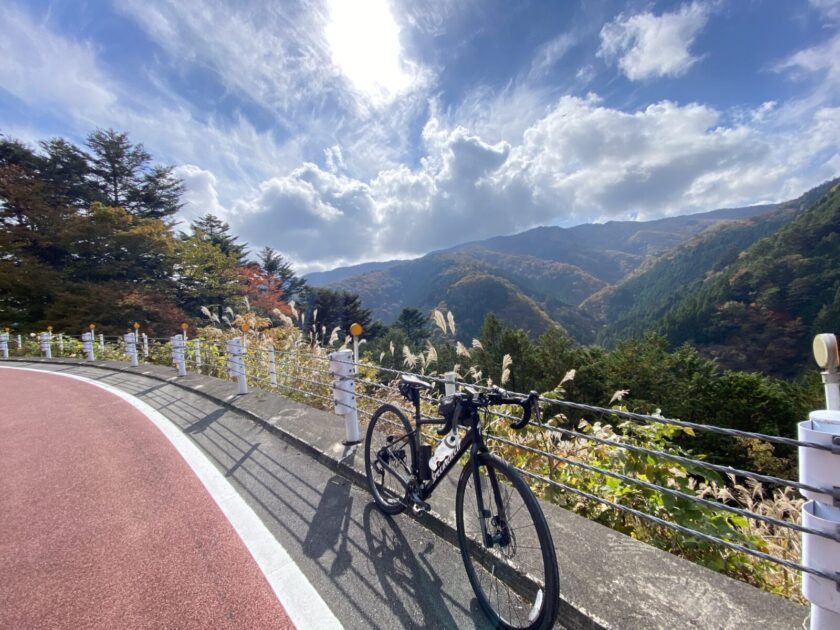 Road bike rental Tokyo TREKKLING
